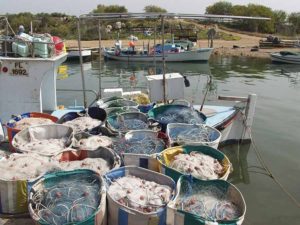 Fishing baskets at Liopetris River
