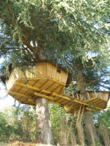 Tree house Chateau d'Orme