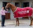 Former champion jockey Johnny Murtagh launches the Qatar Airways Curragh sponsorship with horse Windsor Beach