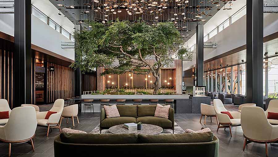 Centurion lounge at Atlanta 