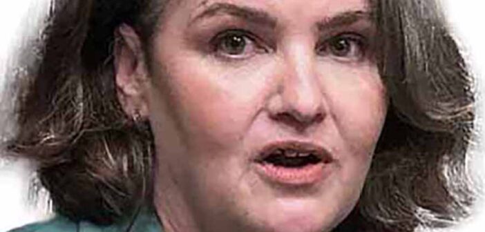 Sonya Kavanagh CEO of Kildare County Council