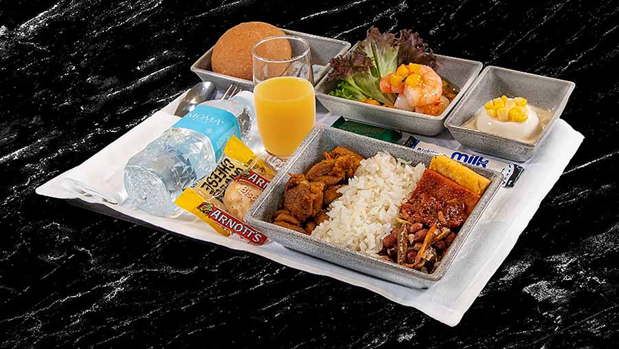 Singapore Airlines upgrade Mar 2024