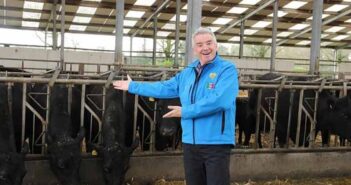 Gigginstown sale 2024