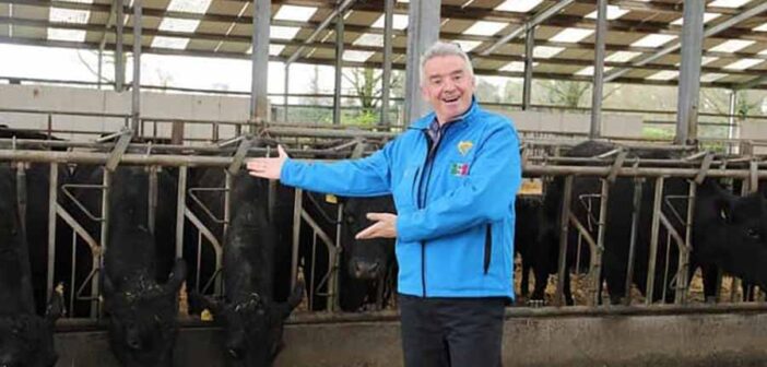 Gigginstown sale 2024