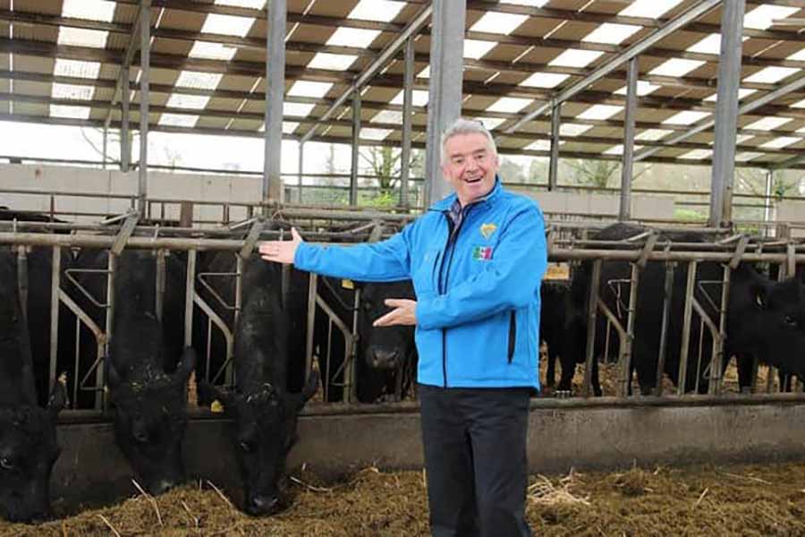 Gigginstown sale 2024