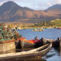 Connemara National Park