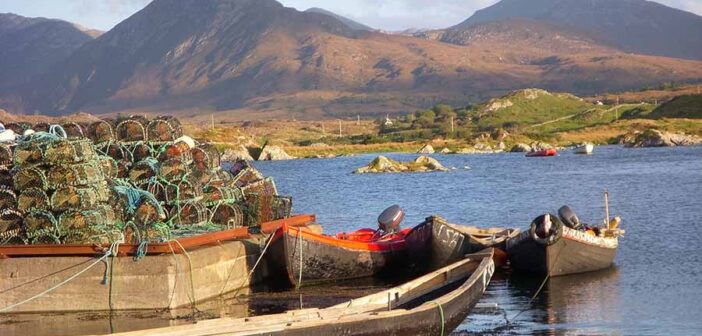 Connemara National Park