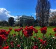 National Botanic Gardens