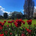 National Botanic Gardens