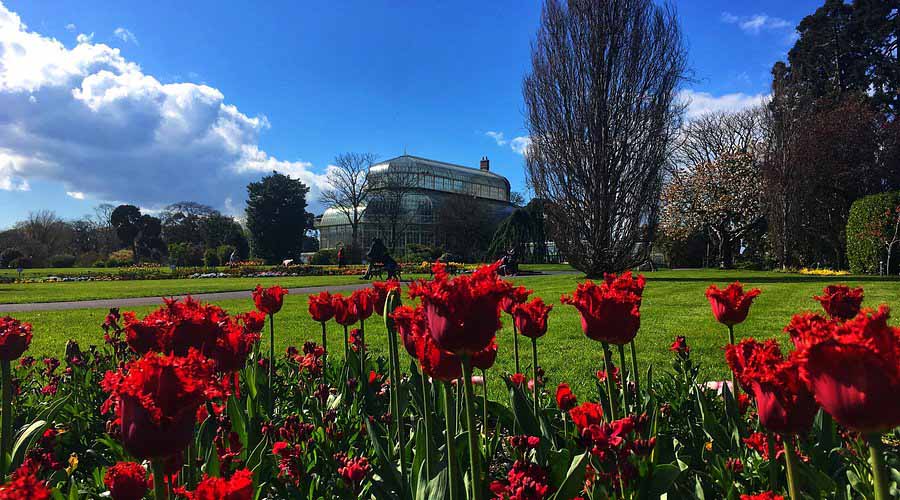 National Botanic Gardens