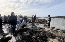 Michael Kelly of Kelly's oysters demonstrating the farm to a group of Irish travel writers, Killeenaran pier county Galway
