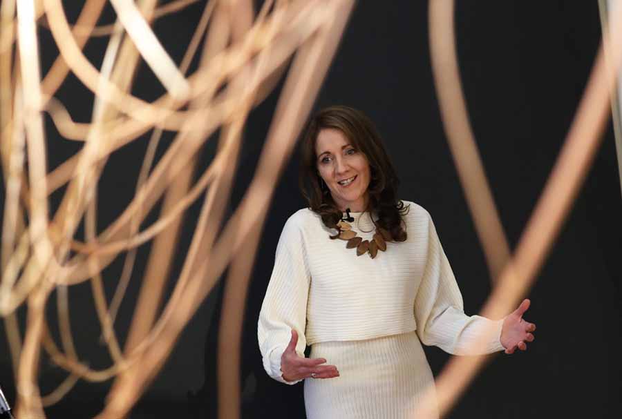 Collect, Connect & Create in Highlanes Gallery